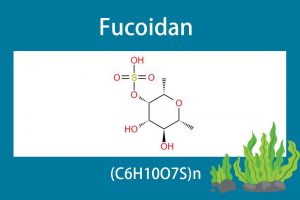 Fucoidan