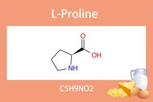 L-Proline