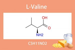 L-Valine